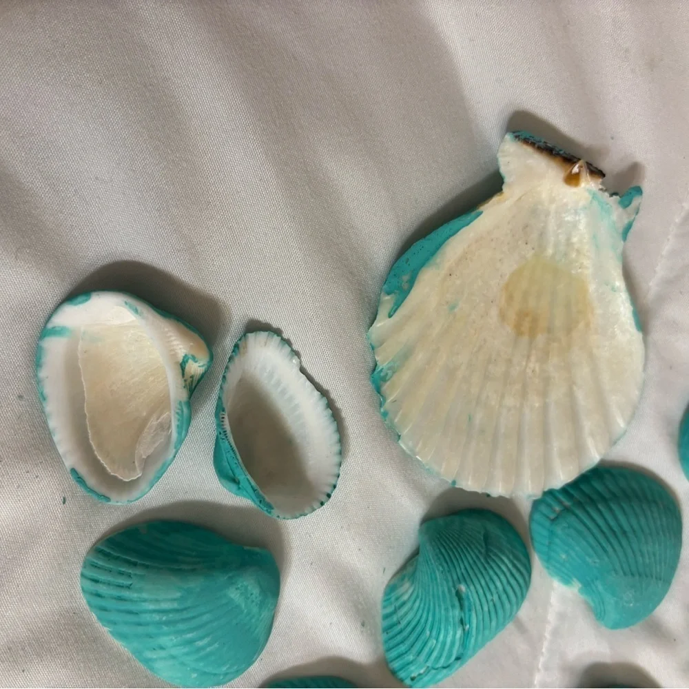 161 Aqua Teal Painted Real Seashells For Decorating Or Center Pieces